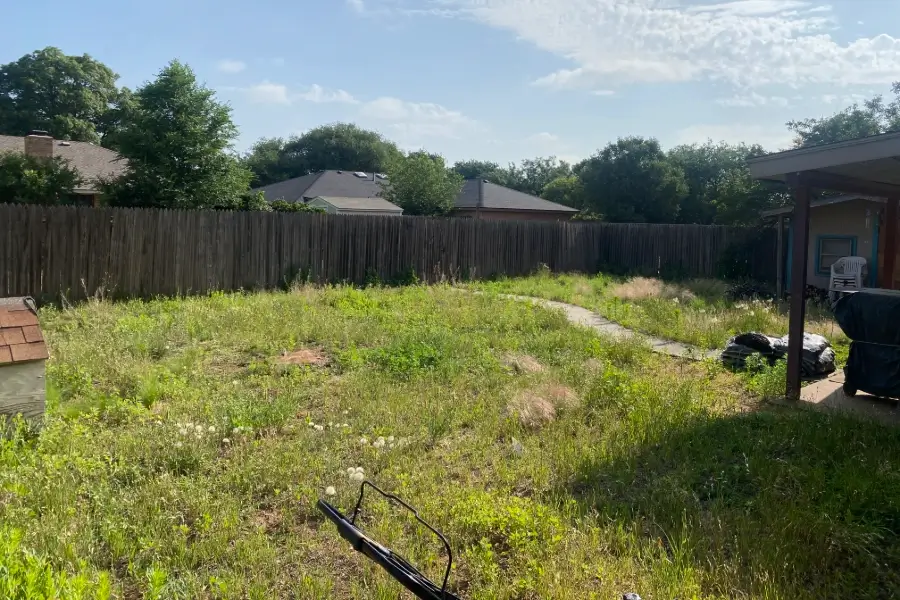 Affordable Landscaping