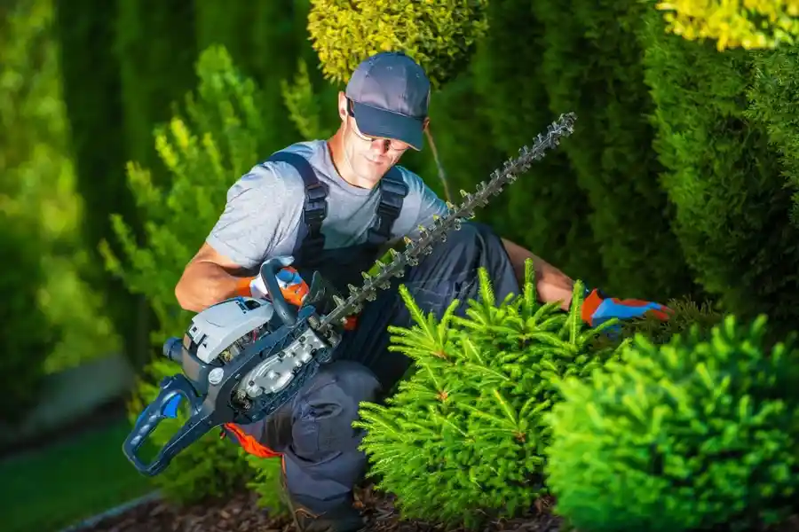 Professional Landscape Services